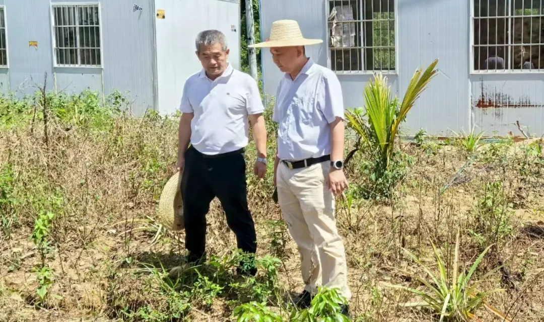 王宏向赴山榮分公司調(diào)研